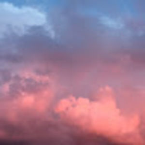 Meet your Posher, Bree